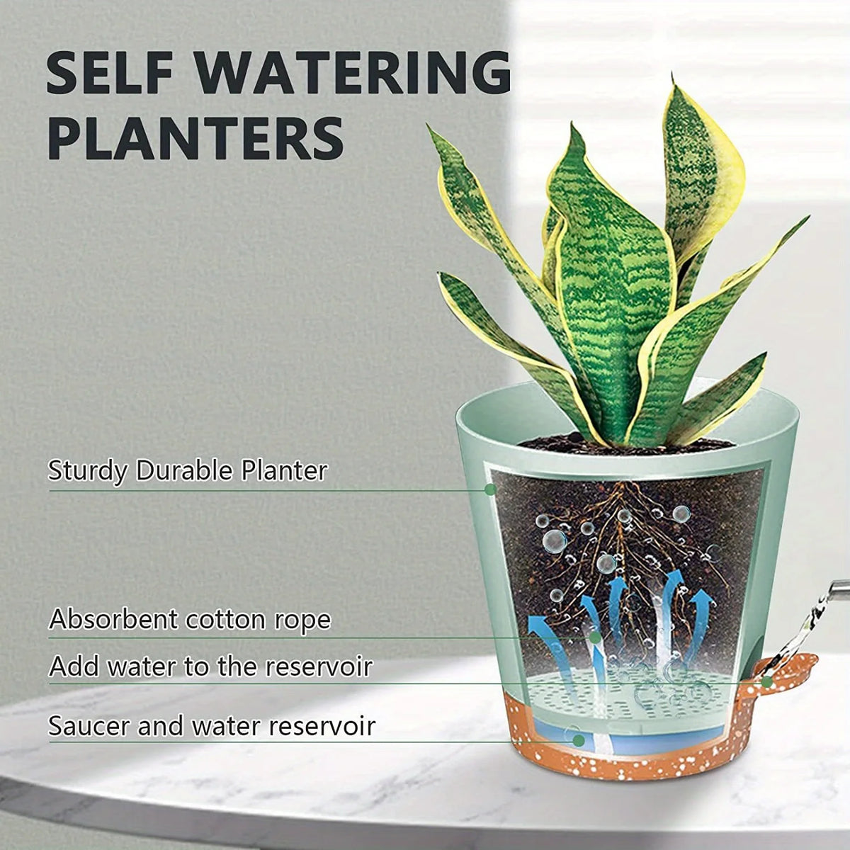 A self-watering planter shows a green succulent plant growing in a reservoir with water being supplied by cotton rope.