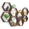 A set of four hexagonal wooden floating shelves displaying various small items like pencils, a toy car, and potted plants.