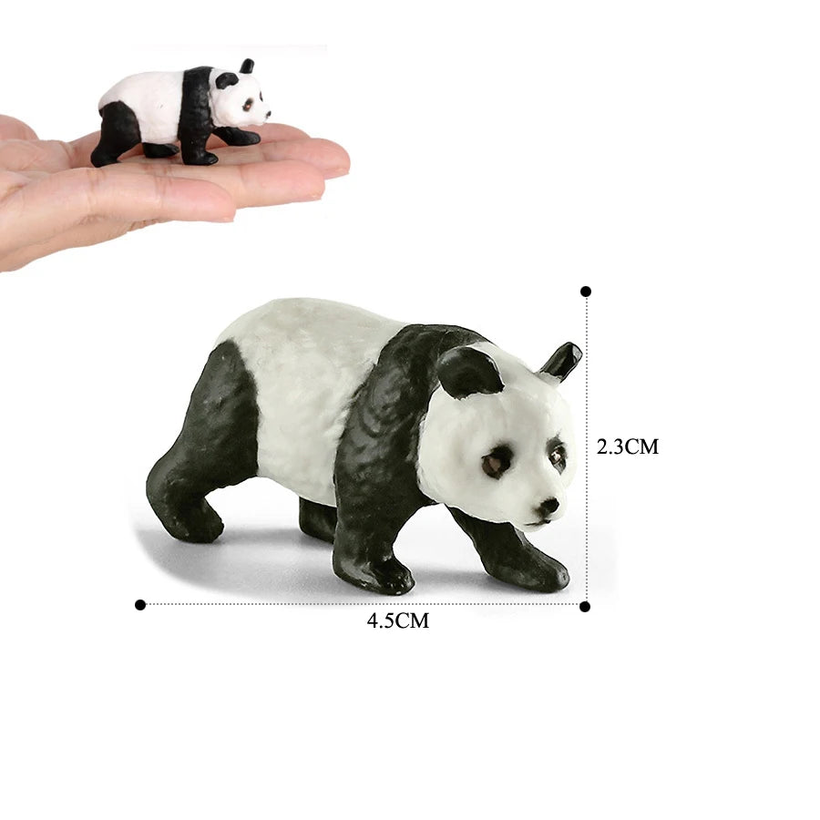 A realistic panda figurine showing the life cycle, with dimensions of 2.3cm high and 4.5cm long.