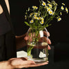 A hand holds a clear glass hydroponic vase filled with green plants and yellow daisy flowers against a dark background.
