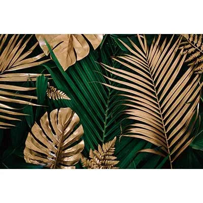 A vibrant backdrop featuring large tropical leaves in shades of green and gold.