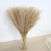 A bouquet of dried beige pampas grass arranged in a clear glass vase.