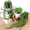 Hanging artificial plant wall decor featuring green foliage and succulents displayed on a wooden surface.