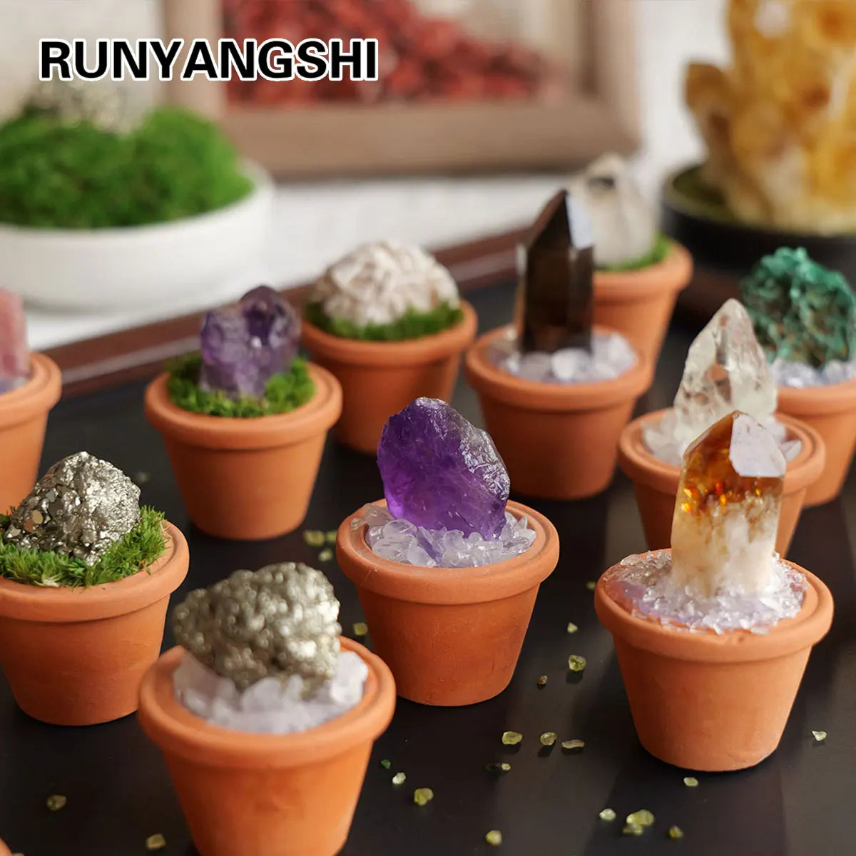 A collection of natural amethyst crystals and green moss plants displayed in terracotta pots.