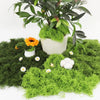 A potted artificial moss plant with green foliage and small white flowers displayed on a surface.