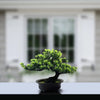 An artificial bonsai tree with green needles is potted in a dark container on a light surface.