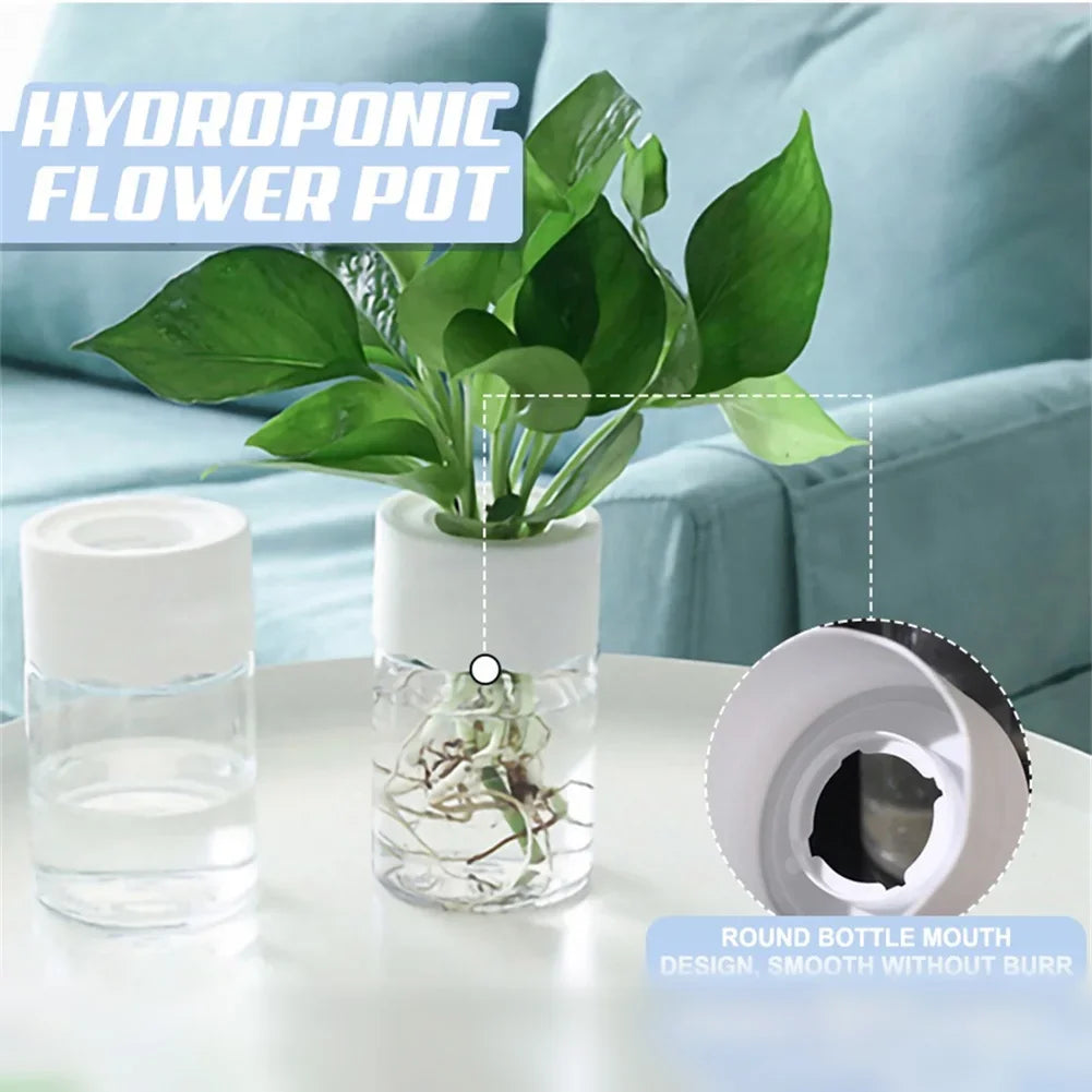 A hydroponic flower pot with a round bottle mouth design holding green plant roots and water.