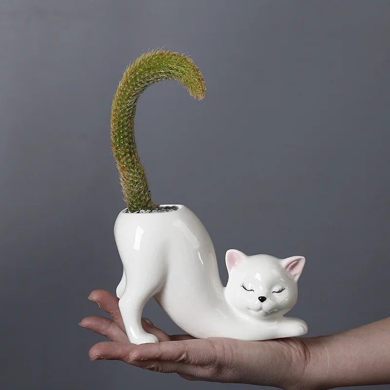 A white ceramic cat planter with a green succulent plant shaped like a curved tail is held in a hand.