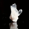 A cluster of clear quartz crystals on a reflective black surface.