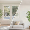 A realistic faux bamboo tree in a pot displayed indoors next to a window and a sofa.
