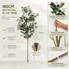 An 180cm artificial olive tree with realistic leaves and trunk displayed against a white background.