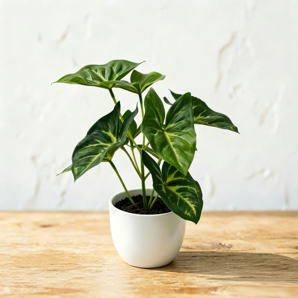 A vibrant green artificial potted plant with variegated leaves sits in a white ceramic pot on a wooden surface.