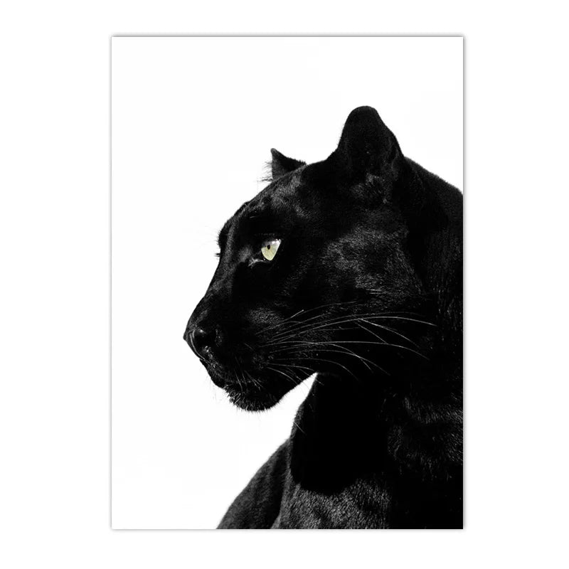 Black and White Leopard and Panther Canvas Wall Art Set
