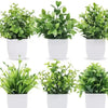 A collection of artificial bonsai plants with eucalyptus accents in white pots.