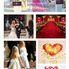 A display of artificial rose petals used for wedding decoration, featuring pink and red petals on a pathway.