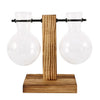 A glass bulb planter with a clear glass bulb and a wooden stand for a desk.