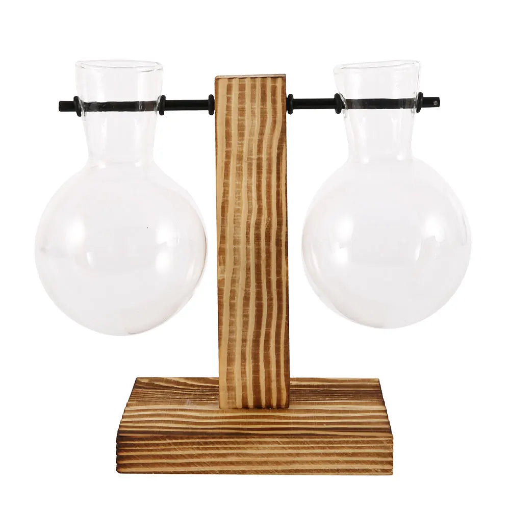 A glass bulb planter with a clear glass bulb and a wooden stand for a desk.