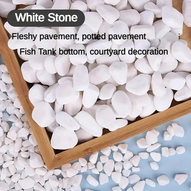 White stone pebbles used as fish tank bottom and courtyard decoration