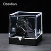 A clear glass box containing a dark obsidian rough stone specimen on a black surface.