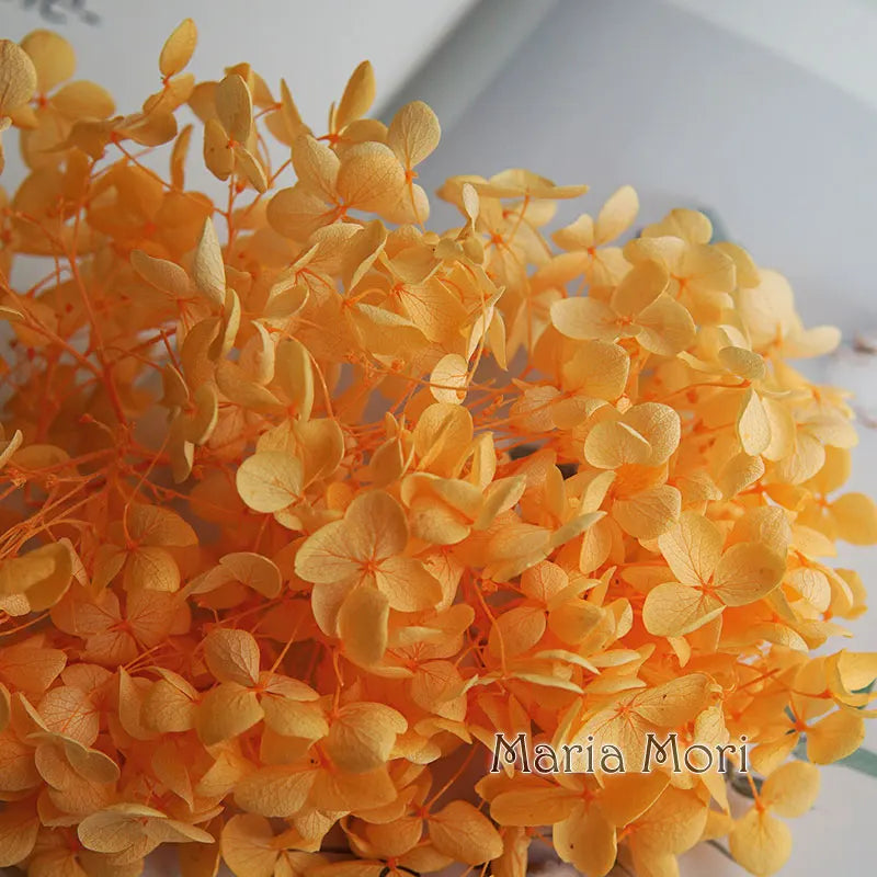 A cluster of bright orange dried hydrangea florets used for home decor