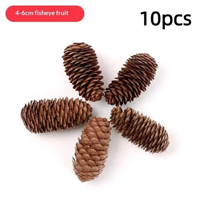 Ten natural dried pine cones, 4-6cm in length, used for Christmas decor and DIY crafts.