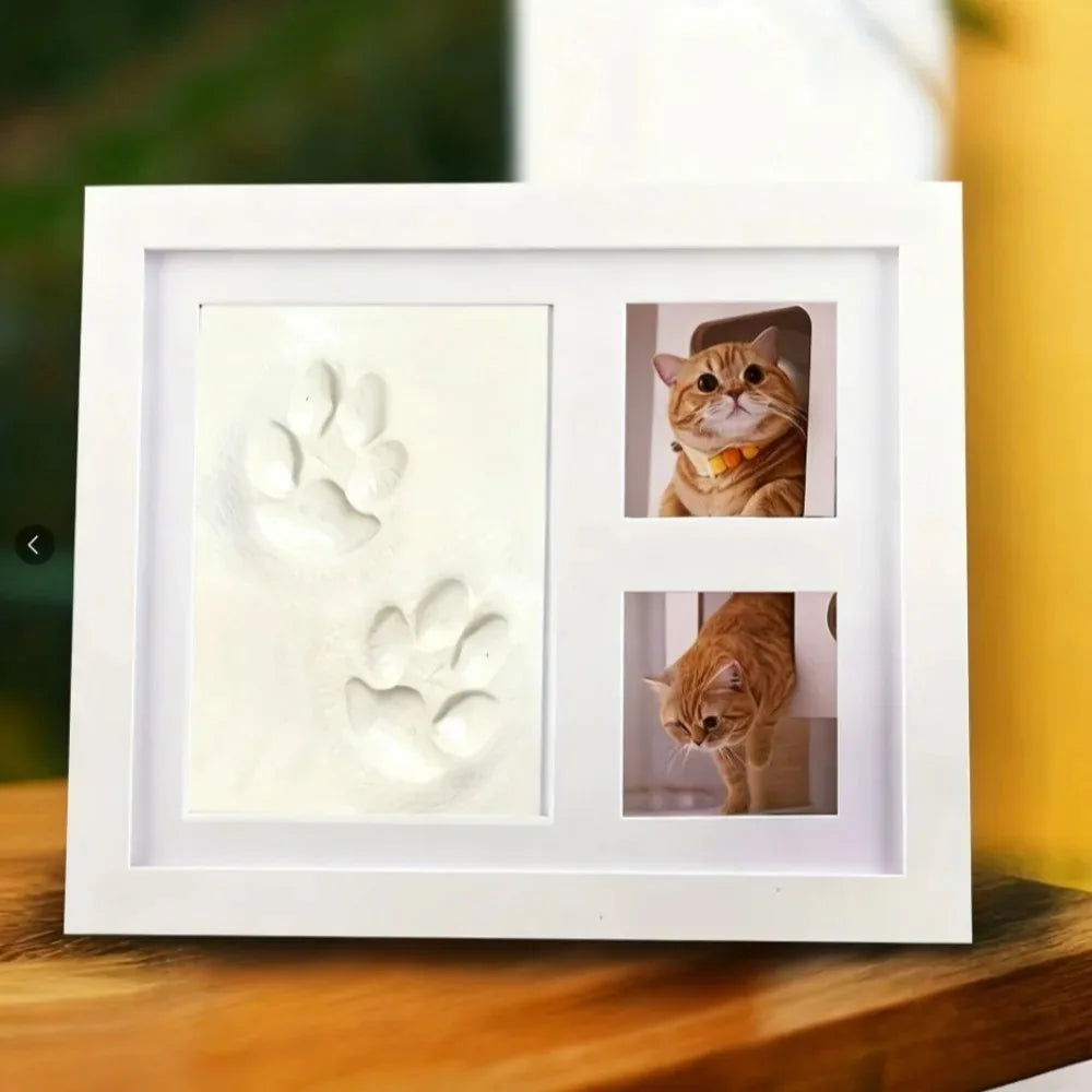A white photo frame displays two paw print molds and a picture of an orange tabby cat.