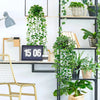 A vertical display of artificial eucalyptus hanging plants and greenery on a black shelf system.