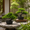 An artificial bonsai pine tree in a black pot sits on a stone surface surrounded by lush greenery.