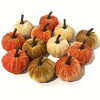 A set of ten velvet pumpkin decorations in various shades of orange, gold, and tan for fall and holiday styling.