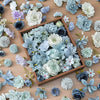 A collection of mini silk artificial flower heads in various shades of blue, gray, and white arranged in a wooden box.