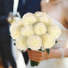 A bouquet of white artificial chrysanthemum flower balls held by a person in a wedding setting.