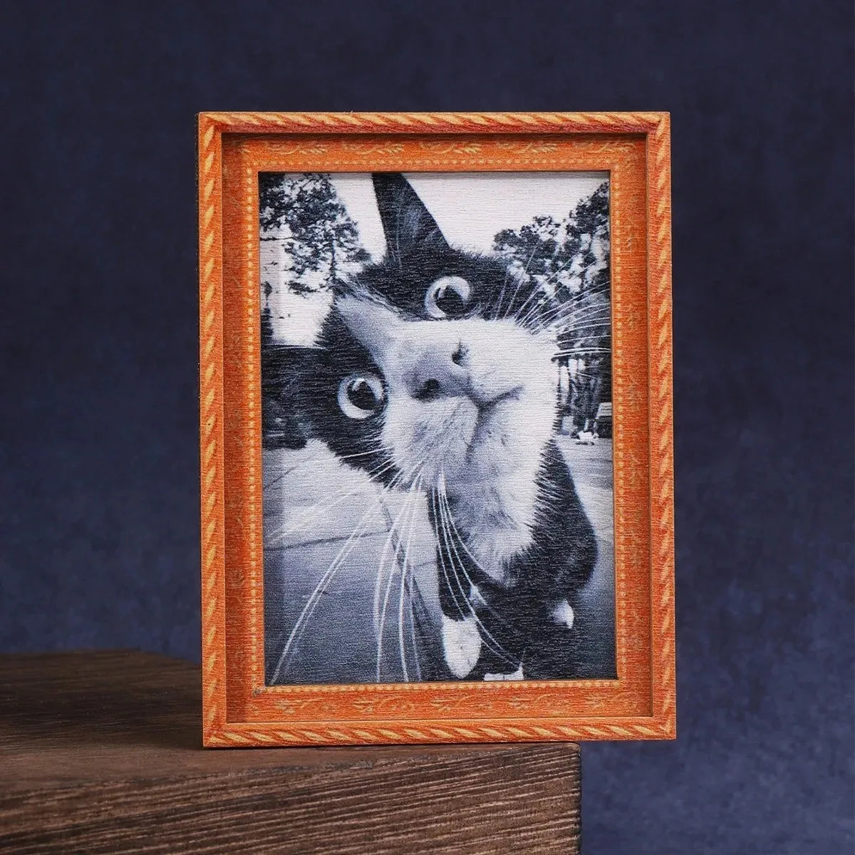 Fotografía enmarcada del rostro de un gato en blanco y negro en un marco de madera.