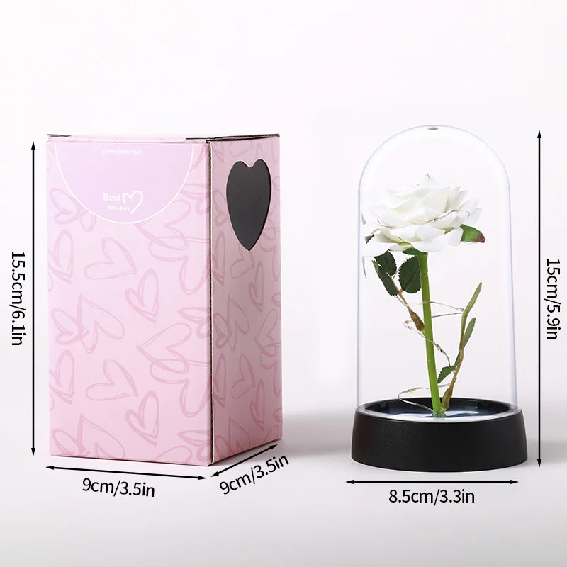 A pink box and a glass dome containing an eternal white rose plant.