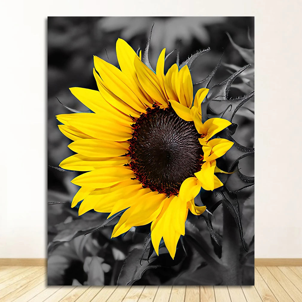 A close-up photograph of a vibrant yellow sunflower against a dark, blurred background.