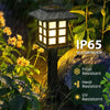 A close-up of an IP65 waterproof solar pathway light fixture illuminating a garden setting during rain.