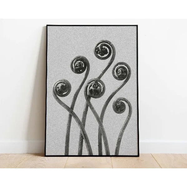 Black and white abstract art featuring swirling, organic lines and spherical shapes on a canvas.