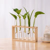 A wooden planter holds several glass test tube vases with green, upright plants.