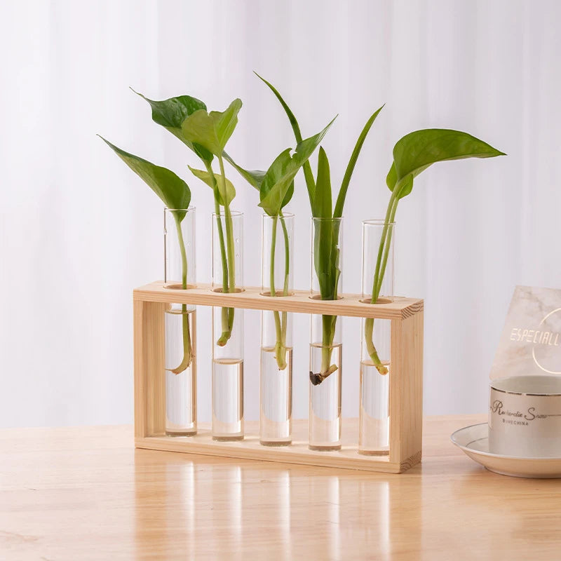 A wooden planter holds several glass test tube vases with green, upright plants.