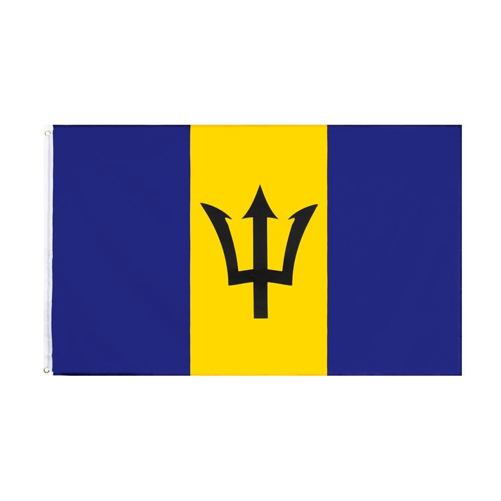 A flag design featuring a vertical tricolor of blue, yellow, and blue with a black trident symbol.