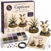A box set of Capricorn DIY beaded garden kit featuring a small figurine and beads.