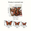 A set of twelve orange and black monarch butterfly wall decals displayed in a clear plastic package.