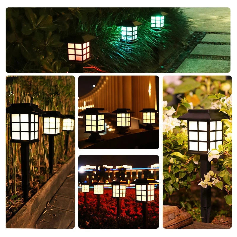A collection of solar pathway lights illuminating a garden path and foliage at dusk.