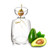 A clear glass vase holds a small avocado seed with roots, demonstrating a method to start growing an avocado tree.