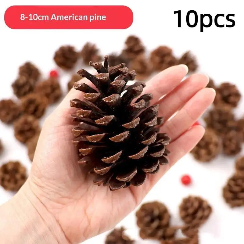 A hand holds a natural dried pine cone used for Christmas decor and DIY crafts.