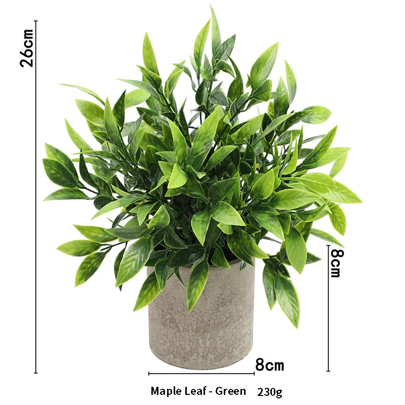 A lush green maple leaf plant in a rustic gray pot, measuring 26cm high.