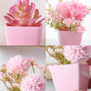 Pink succulent and pink carnation flowers displayed in small pink pots for home decor