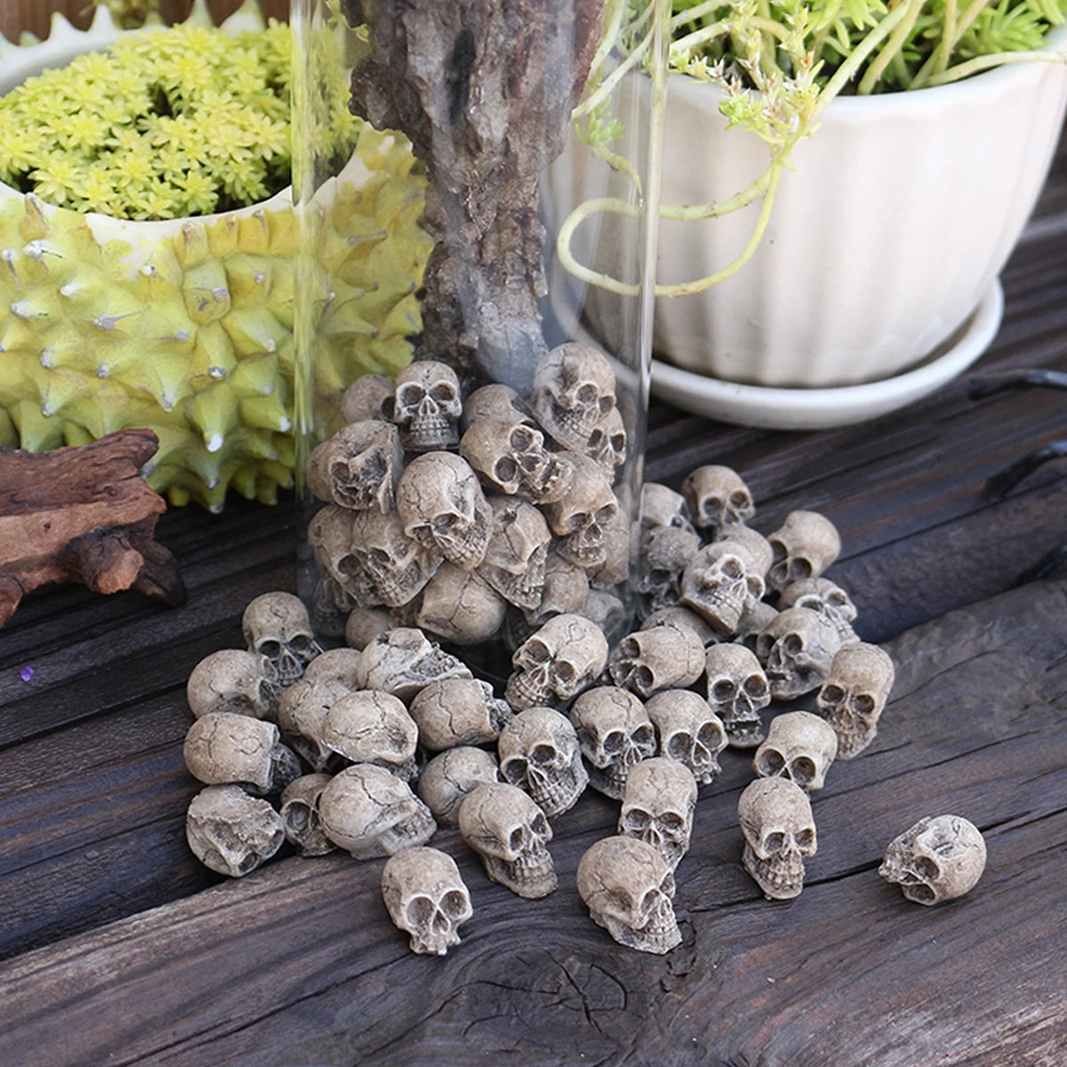 Miniature Skull Figurines for Garden & Bonsai Decor