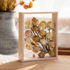 Deep Shadow Box Frame for 3D Displays - Wooden Tabletop Keepsake Case