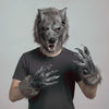 A person wearing a realistic werewolf full head mask with furry hands and teeth against a gray background.