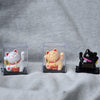 Three solar-powered waving lucky cat figurines displayed in clear acrylic boxes on a gray fabric background.